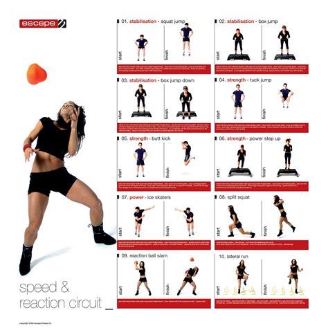 Speed Reaction Circuit Cardio Workout Cardio Workout Gym Exercise