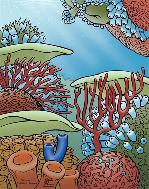 10 Best Coral Reef Drawing Images On Pinterest Coral Reefs Coral