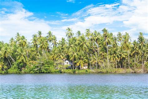 Beautiful View Of Lake Koggala Sri Lanka On A Sunny Day Stock Image