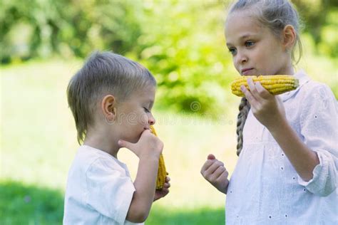 Cute Children Eating Corn Stock Photo Image Of Boiled 61636962