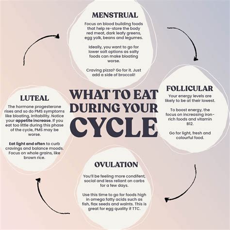 what to eat at each stage of your menstrual cycle our remedy