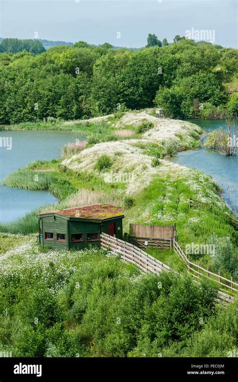 Tring Nature Reserve Hi Res Stock Photography And Images Alamy