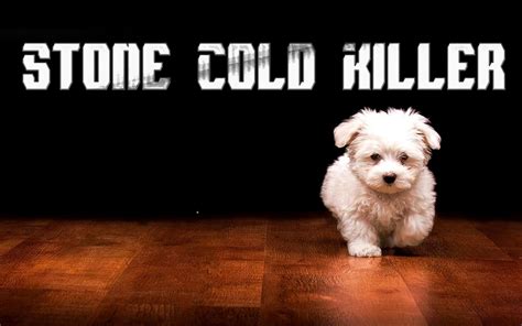 Stone Cold Killer Dog Wallpapers Hd Desktop And Mobile Backgrounds