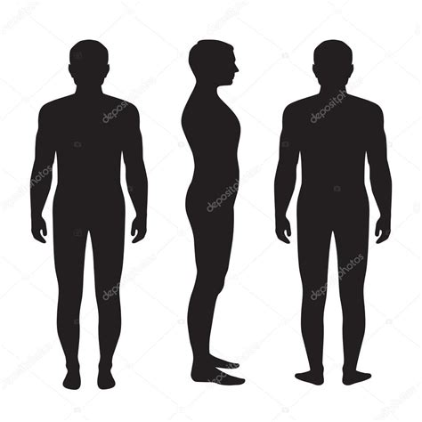 Silhouette Human Body Anatomía Del Cuerpo Humano — Vector De Stock