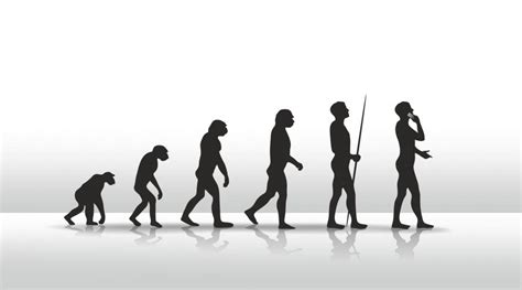 Maybe you would like to learn more about one of these? Evolution of modern humans | Stories | yourgenome.org