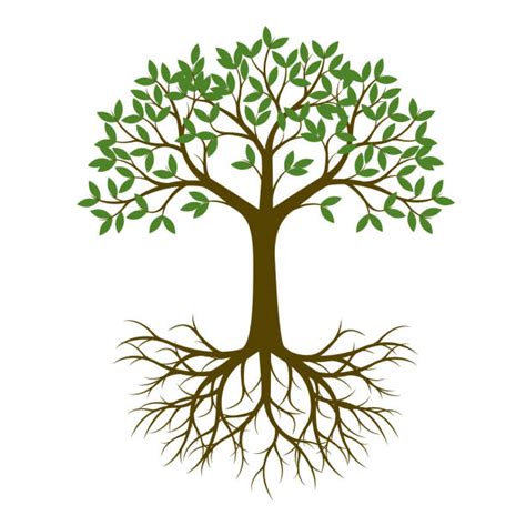 Roots Of A Tree Clipart Free Images At Clker Com Vector Clip Art My