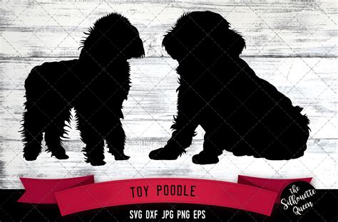 Toy Poodle Svg Files Dog Svg Silhouette File Cricut File 268178