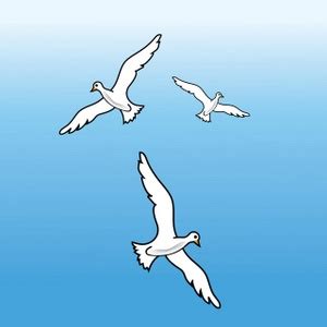 2225 metri in tutta sicurezza godendo di un panorama. Free Seagulls Clipart Image 0515-0909-2920-5814