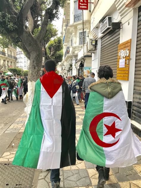 الجزائر وفلسطين علم فلسطين والجزائر Malaynesra