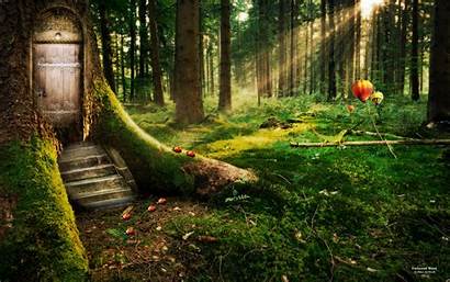 Forest Enchanted Wallpapers Magical Background Forests Backgrounds