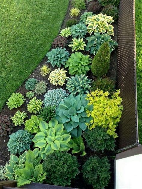 50 Fabulous Low Maintenance Front Yard Landscaping Ideas