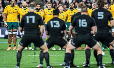 Ricoh black rams vs canon eagles. Wallabies v All Blacks Match Preview - Green and Gold Rugby