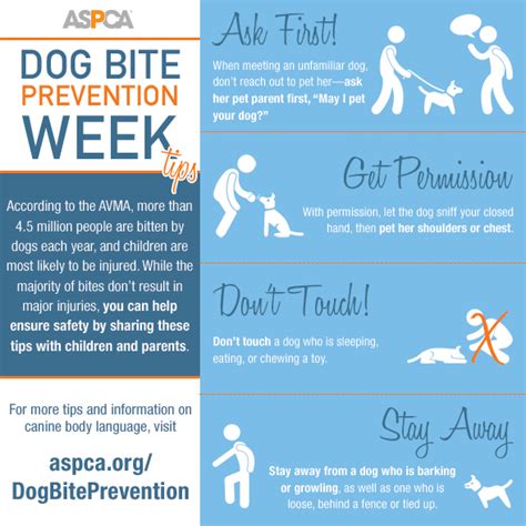 Its Dog Bite Prevention Week Read Our Safety Tips Aspca
