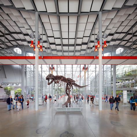 California Academy Of Sciences — Museum Review Condé Nast Traveler