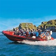 Tenby Boat Trips Pembrokeshire • Seal Safari & Caldey Island Cruise