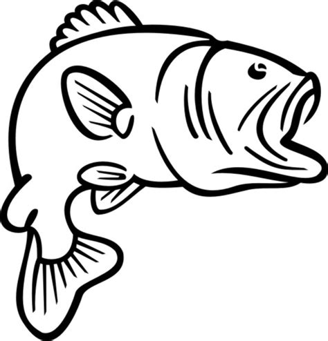 Bass Fish Coloring Pages Clip Art Library