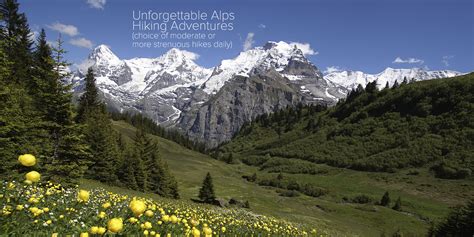 Alpine Adventure Trail Tours Swiss Alps Hiking Tours