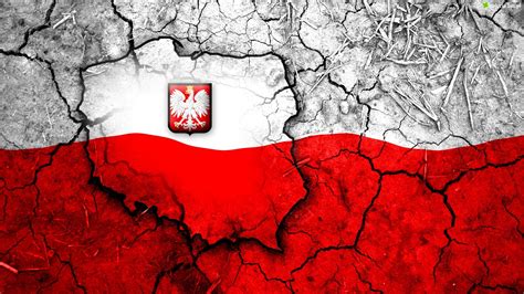 Zdjęcie Grafika, Polska, Godło, Mapa, Flaga