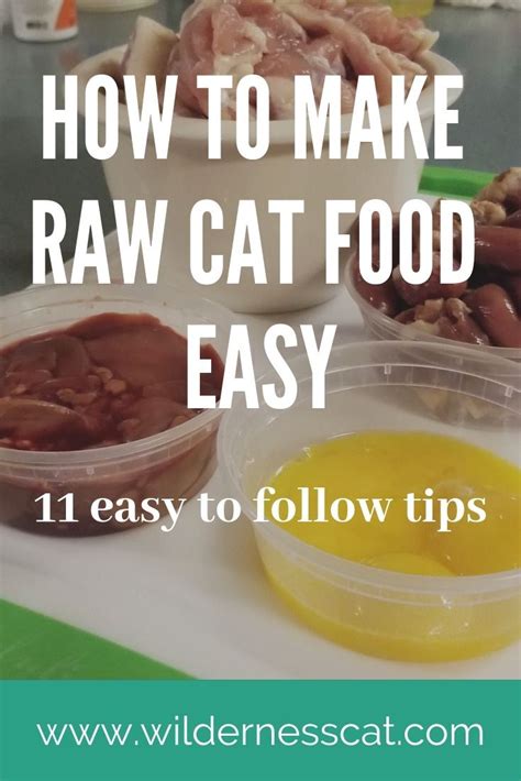 How To Make Raw Cat Food 11 Hacks To Make It Easy Raw Cat Food