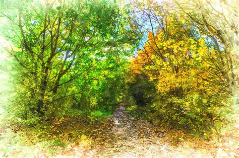 Autumn Forest Path Art Photograph By David Pyatt Fine Art America