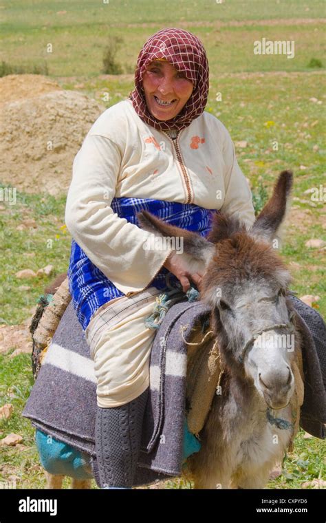 Woman Riding On Donkey Near Fes Morocco Stock Photo Alamy
