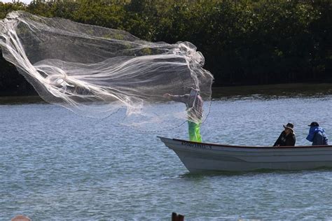 Cambio Climático Desquicia A Las Pesquerías En México Advierte Estudio