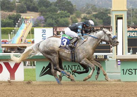 Brad Free on Twitter: "American Theorem = 97 Beyer win Triple Bend on