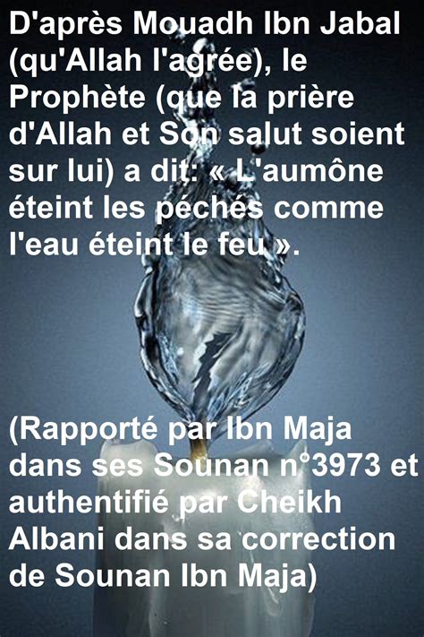 Épinglé par lion solitaire sur hadith paroles de nos pieux prédécesseurs Rappel islam Hadith