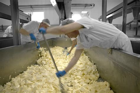 digital-days-out-tuesday-14th-april-cheese-making-process-step-8