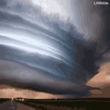 Explore and share the best tenor gifs and most popular animated gifs here on giphy. Tornado Twister GIFs | Tenor