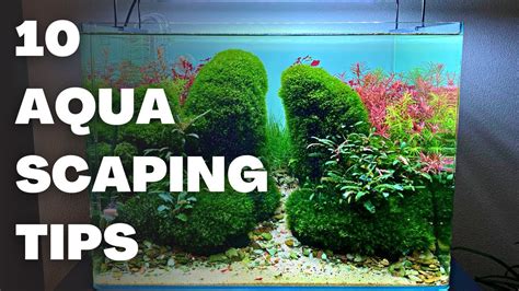 Top 10 Aquascaping Tips For Beginners In Order Of Importance Youtube