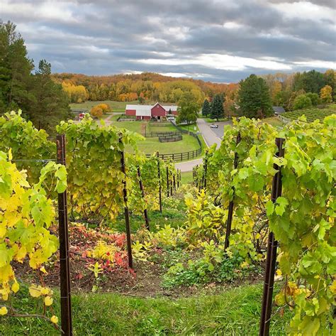 Black Star Farms Estate And Wine Tour Michigan Wine Country