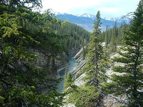 Siffleur Falls One Of Albertas Most Underrated Hikes David Thompson