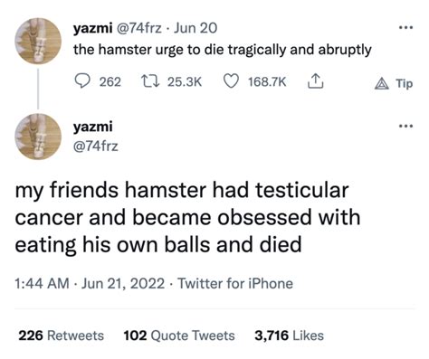 What Are Hamster Death Stories And Why Are They Always So Strange