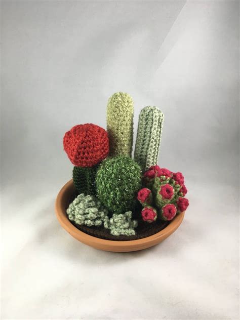 Para acertar un poco más con el tipo de tierra que necesita nuestro cactus o suculenta, necesitamos conocer un poco su hábitat, así podremos darle un suelo más orgánico o más mineral según sea su lugar de origen. Crochet Cactus y Suculento Jardín con Bandeja Terra Cotta ...