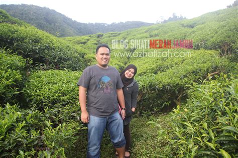 Ladang teh bharat tanah rata. Tempat Tempat Menarik di Cameron Highland | Blog ...