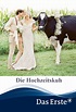 Reparto de Die Hochzeitskuh (película 1999). Dirigida por Tomi Streiff ...