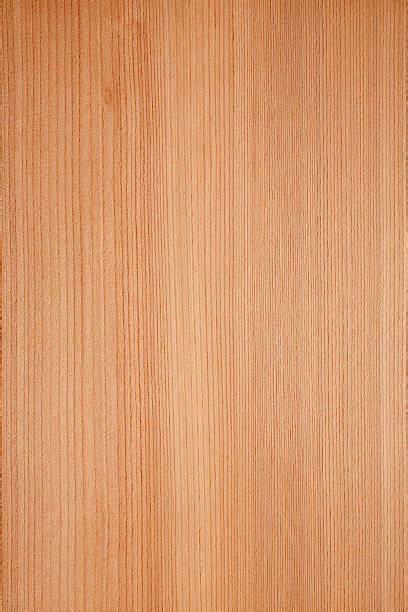 Western Red Cedar Stock Photos Pictures And Royalty Free Images Istock