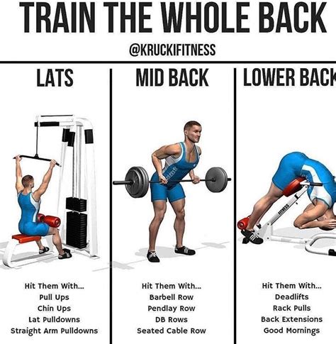 Pin By Hiker270 On Back Exercises Back Exercises Barbell Row Cable Row