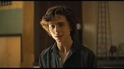 ‘Beautiful Boy’ Review: Timothee Chalamet and Steve Carell Drug Drama ...