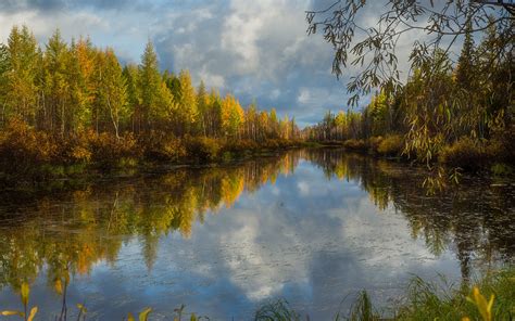 Download Wallpaper 1920x1200 Trees River Clouds Water Reflection