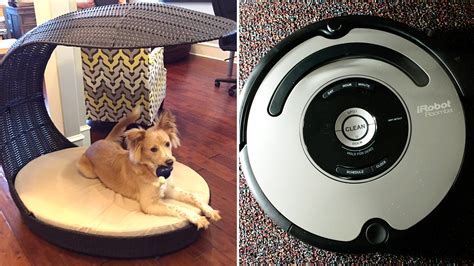 When Roomba Met Dog Poop Mans Poopocalypse Goes Viral