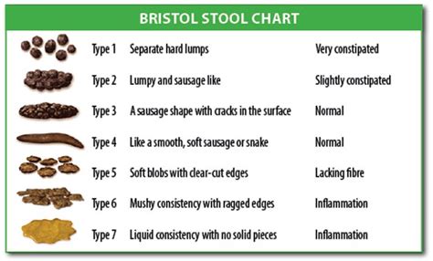 Abnormal Stool Color Stools Item