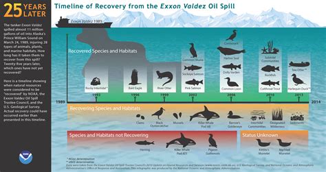 25 Years Later Timeline Of Recovery From The Exxon Valdez Oil Spill