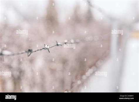 Old Rusty Barbed Wire Fence Covered With Snow At A Military Facility