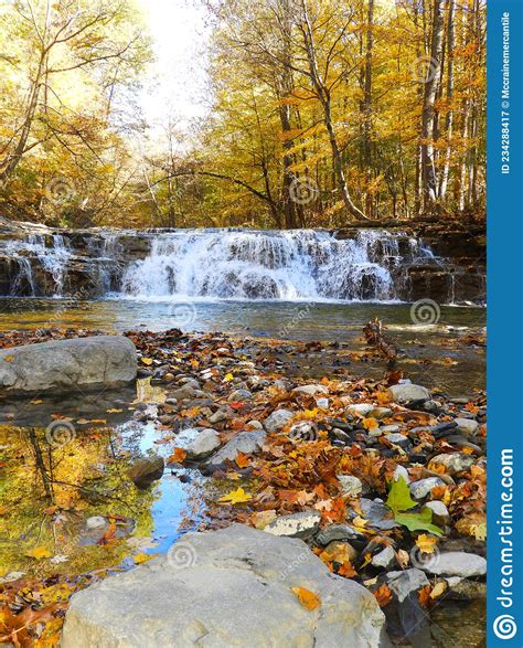 Creek And Waterfall In Yellow Forest With Sky Reflection Stock Image