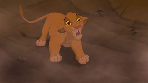 Where Does Simba Look The Most Scared Simba Fanpop