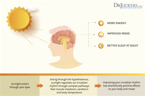 Sunlight And Vitamin D3 For Brain Health