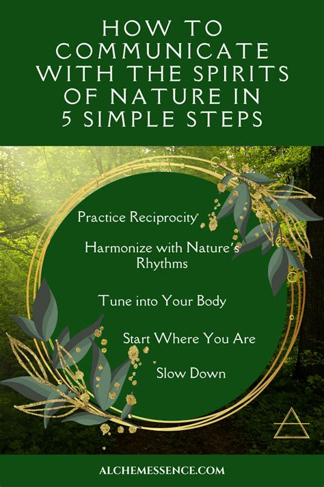 5 Steps For Communicating With The Spirits Of Nature — Alchemessence™