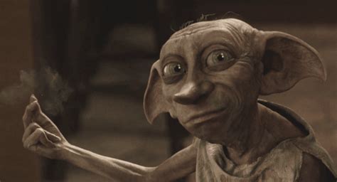 Harry Potter Video Beweist Dass Dobby Lebt